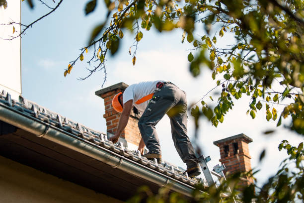 Best Metal Roofing Contractor  in Haysville, KS